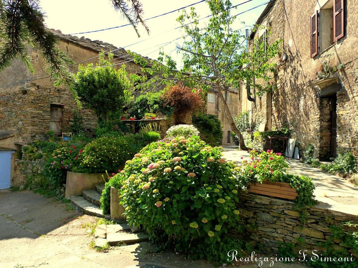 Tres Jolie Maison Aux Portes Du Cap Corse Sisco Exterior photo