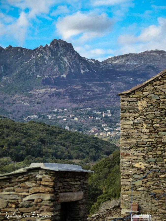 Tres Jolie Maison Aux Portes Du Cap Corse Sisco Exterior photo